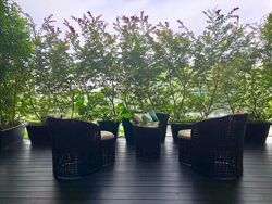 8 Napier (D10), Condominium #585213081